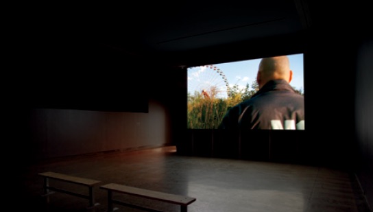 Lynne Marsh, Planterwald, 2010, High-definition video, 17:50, Video projection with 4 channel sound, raised wood screen construction