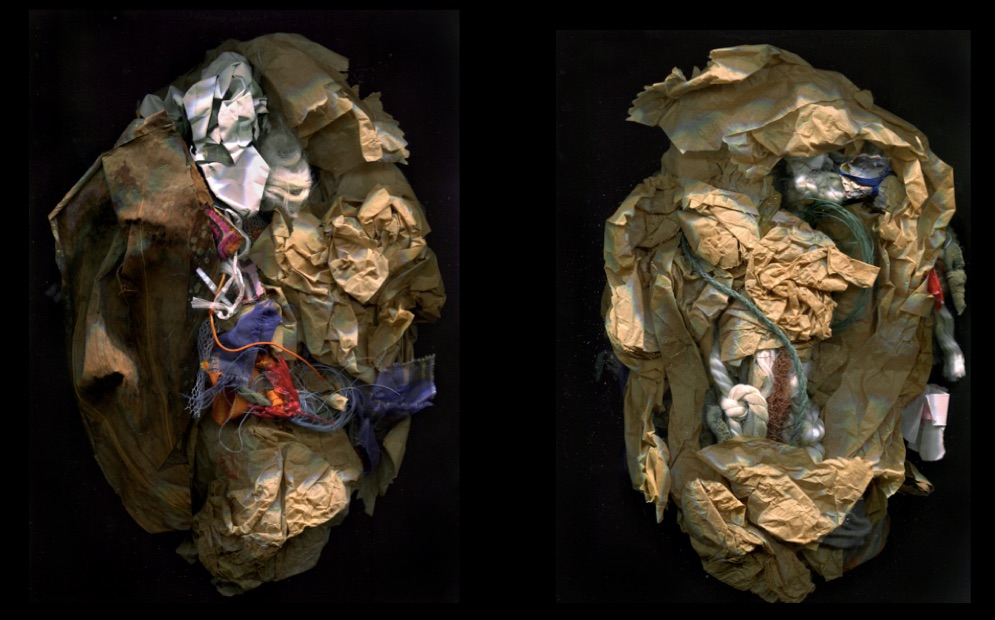 Raphaëlle de Groot, Study 5, A New Place - Head Remnants, 2015, Head shape scans (diptych) mixed media